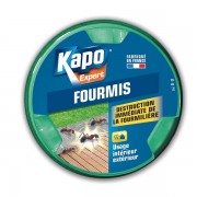 Boîte appât formicide Anti fourmis KAPO 