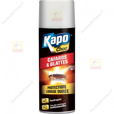 Aérosol KAPO Cafards et blattes protection longue durée 400 ml