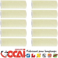 TOPLAK boite de 10 mini rouleaux OCAI laques et vernis L.100 mm, Poils: 4 mm