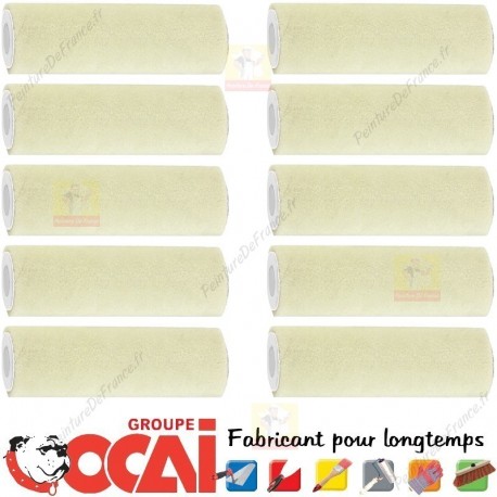 TOPLAK boite de 10 mini rouleaux OCAI laques et vernis L.100 mm, Poils: 4 mm