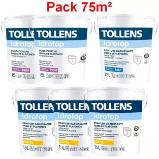 Pack 75m² Peinture TOLLENS Idrotop Professionnelle BLANC