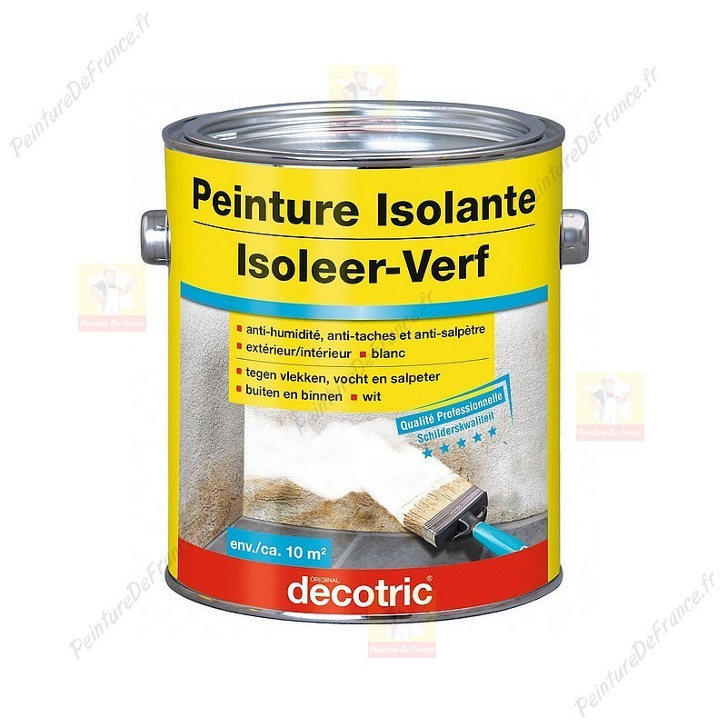 Peinture Isolante DECOTRIC anti-humidité, isole taches d'eau, nicotine,  suie et tanin BLANC 