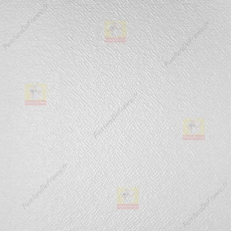 Toile de verre professionnelle LECO motif crépi fin 50 m²