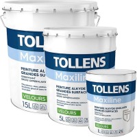 Peinture TOLLENS professionnelle Maxiline Velours