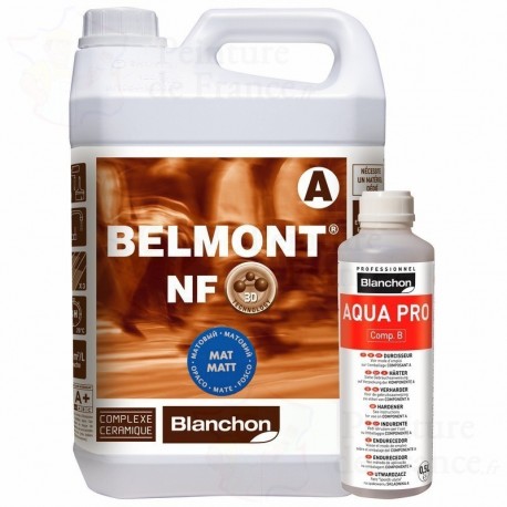 Vitrificateur BLANCHON Belmont® NF MAT 10L