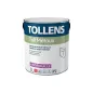 Primaire antirouille TOLLENS professionnelle Toll Métaux, protéger vos surfaces métalliques