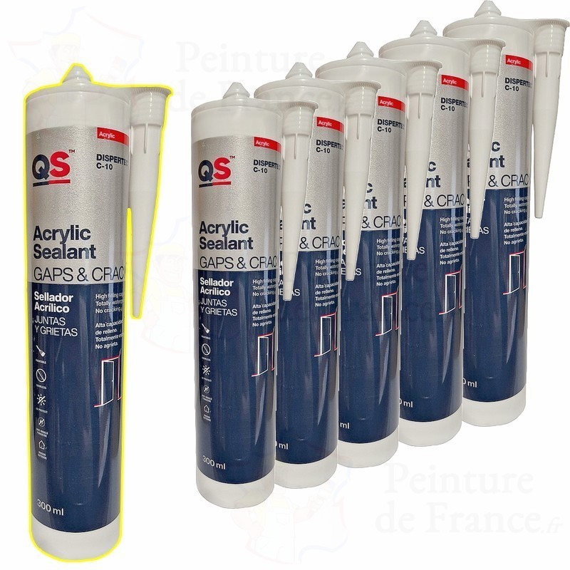 Mastic Acrylique C-10 application facile, anti-moisissure, peut être peint  (lot de 6 x 300 ml) 