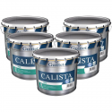 Peinture Professionnelle GUITTET Calista haute performance Mate BLANC 10L - Pack x5