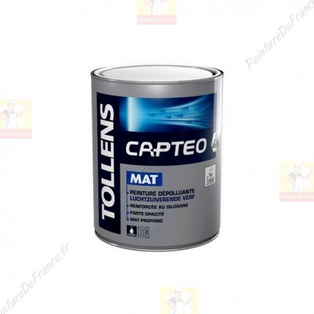 Peinture TOLLENS Capteo Mat BLANC 1L