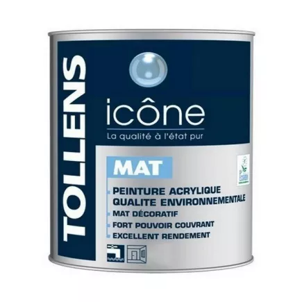 Peinture TOLLENS professionnelle Icône Mat