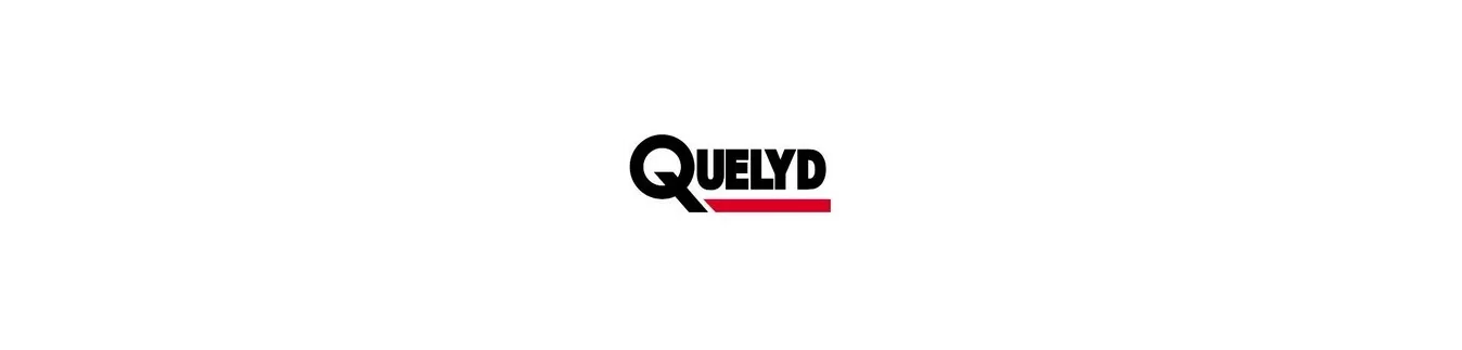 Quelyd sur PeintureDeFrance.fr