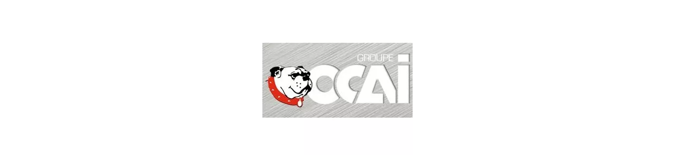 OCAI sur PeintureDeFrance.fr