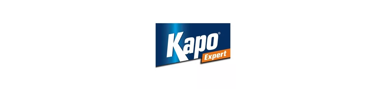 Kapo sur PeintureDeFrance.fr