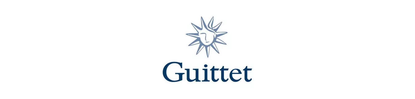 Guittet sur PeintureDeFrance.fr