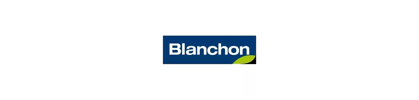 Blanchon sur PeintureDeFrance.fr