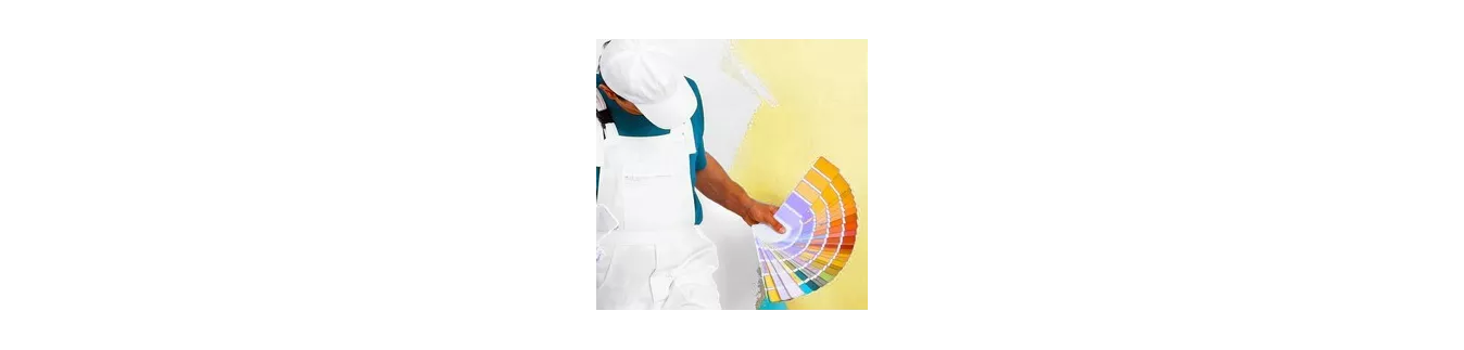 Peinture Intérieure Professionnelle : Murs, Plafonds & Sols