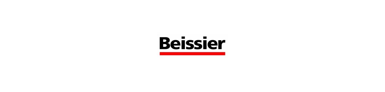 Beissier sur PeintureDeFrance.fr