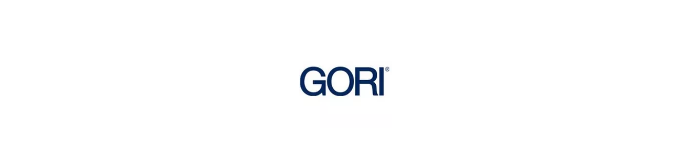 Gori sur PeintureDeFrance.fr