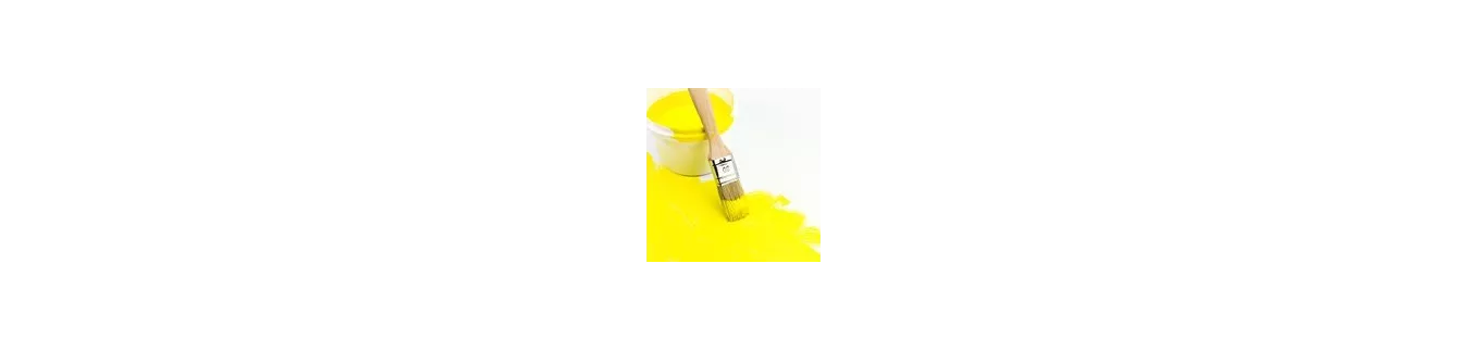 Pinceau et Brosse sur PeintureDeFrance.fr