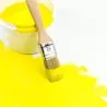 Pinceau et Brosse