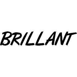 Blanc BRILLANT - RAL 9010